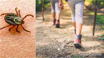 Zecken im Alb-Donau-Kreis und Kreis Neu-Ulm: Neue Arten in der Region: Welche Gefahren bringen sie mit? - SWP
