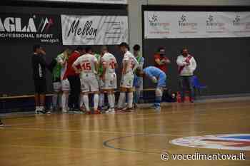 Calcio a 5 Serie A2 - Saviatesta, big match col Fossano: ingresso gratuito al NeoLù | la Voce Di Mantova - La Voce di Mantova