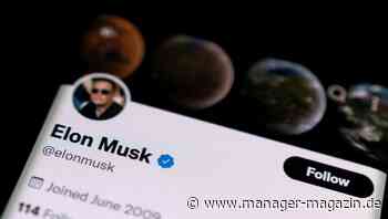 Elon Musk: Twitter-Mitarbeiter fürchten sich vor Kündigungswelle und Gehaltskürzungen