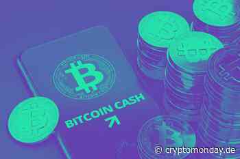 Bitcoin Cash (BCH) bald bei 3000 USD? - Kim Dotcom sieht Wachstum von mehr als 800% - CryptoMonday | Bitcoin & Blockchain News | Community & Meetups