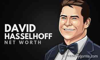 David Hasselhoff's Net Worth (Updated May 2022) - Wealthy Gorilla