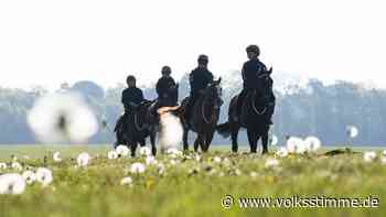 Ferienprojekt mit Pferdehof in Blankenburg nimmt nächste Hürde - Volksstimme