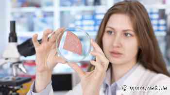 „Es darf keine Denkverbote geben“ – Laborfleisch auf dem Weg zur Massentauglichkeit