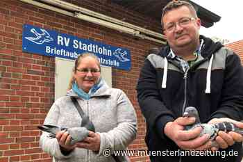 Neues Reisezentrum für Tauben: Jetzt gurrt es an der Hölderlinstraße | Stadtlohn - Münsterland Zeitung