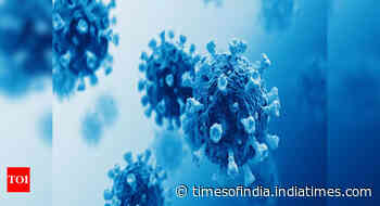 Coronavirus: New Omicron sub-lineages can dodge immunity from past infection, study says - Times of India