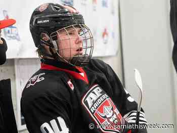 Sting hit their targets with OHL draft picks - Sarnia and Lambton County This Week