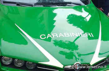 Operazione “Deep 1” nel Reggino contro inquinamento ambientale: oltre cento le aree controllate - Il Lametino