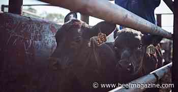 Modified-live or killed: a crash course in vaccine types