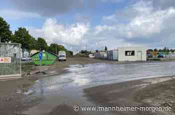 Große Zustimmung zu neuer Mannheimer Gemeinschaftsschule - Mannheim - Nachrichten und Informationen - Mannheimer Morgen