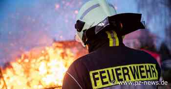 Rund 100.000 Euro Schaden bei mutmaßlich gelegtem Kellerbrand in Mannheim - Baden-Württemberg - Pforzheimer Zeitung