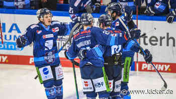 Nach Mannheim-Aus: Straubing in Champions Hockey League - kicker
