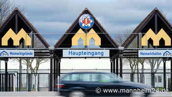 Maimarkt Mannheim: Auf diese Aussteller können sich Besucher 2022 freuen - mannheim24.de