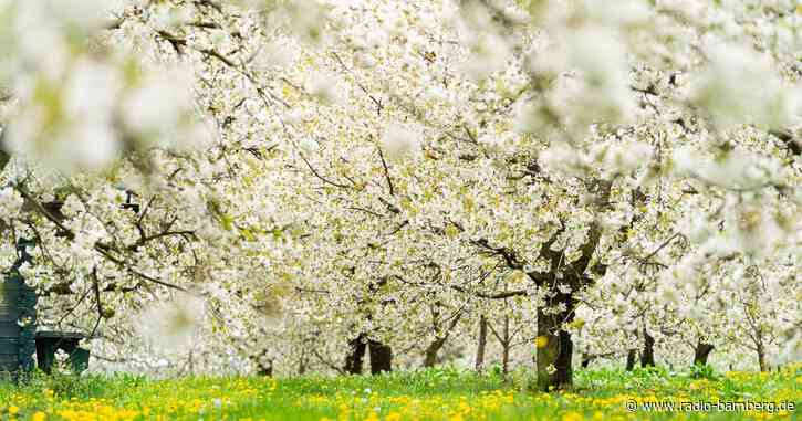 Nass im Süden, trocken im Norden