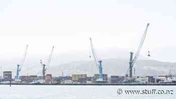 Nelson included in national port safety inquiry - Stuff