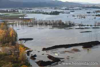 BC expands disaster flood assistance for farmers, small businesses – Nelson Star - Nelson Star