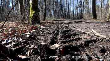 Vermisste 61-Jährige wird tot aufgefunden