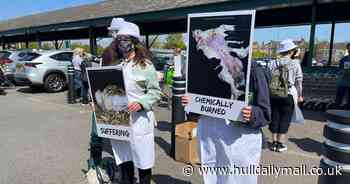 'Frankenchickens' protest staged outside Morrisons in Holderness Road, Hull - Hull Live