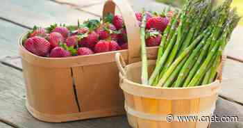12 Healthy Spring Recipes Using Seasonal Produce     - CNET