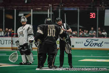 Red Deer's Todd Labranche officiates 400th NLL game – Red Deer Advocate - Red Deer Advocate