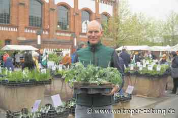 Großer Andrang bei den Gartentagen von Manufactum an der Zeche Waltrop - Waltroper Zeitung