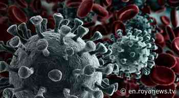 Jordan confirms two deaths and 225 coronavirus cases in one week - Roya News English