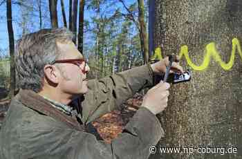 Vertragsnaturschutz - Kronacher Wald: Leasing im Namen der Natur - Neue Presse Coburg