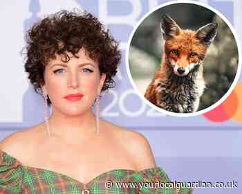 Fox walks into ex-Radio 1 DJ Annie Mac’s house and steals trainer
