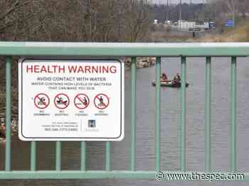 Hamilton council overdue for turnover | TheSpec.com - Hamilton Spectator