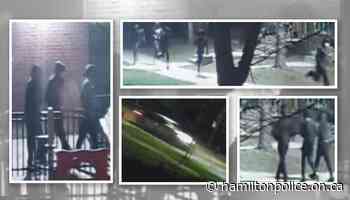 UPDATE: Hamilton Police Investigate Shooting Incident - Hamilton Police Service