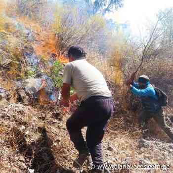 Incendio en Cerro San Mateo continúa imparable en Moyobamba. - diariovoces.com.pe