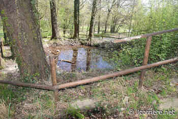 Alba, «Intervenite sul laghetto di S. Cassiano» pericoloso per i bambini - Il Corriere di Alba, Bra, Langhe e Roero