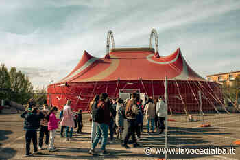 Alba, quanto ci costa il "Circo di Primavera"? In Consiglio i dubbi del consigliere Tripaldi - LaVoceDiAlba.it
