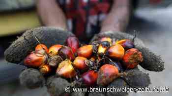 Speiseöl: Nächste Hiobsbotschaft – Wird alles noch teurer?