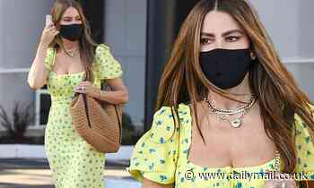 Sofia Vergara cuts a chic figure in floral gown during shopping outing - Daily Mail