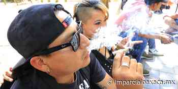 Plantean declarar libres de mariguana a parques y jardines - El Imparcial de Oaxaca