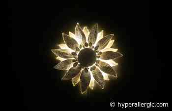 Thao Nguyen Phan's Multilayered Histories of the Mekong Delta - Hyperallergic