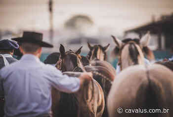 Cavalo Crioulo: Santana do Livramento sedia Exposição Passaporte - Cavalus