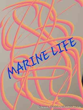 Help sea animals.