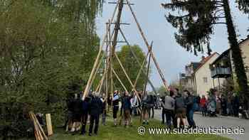 In Vierkirchen bei Dachau werden gleich drei Maibäume aufgestellt - Süddeutsche Zeitung - SZ.de