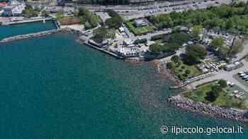 Trieste, troppe meduse in mare a Barcola: salta la gara di nuoto - Il Piccolo