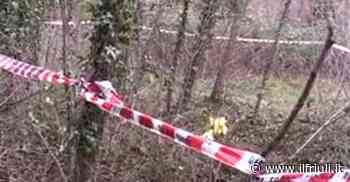 Giallo di Trieste, disposti ulteriori esami tecnici - Il Friuli