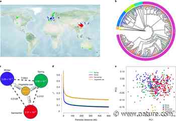 Genomic selection and genetic architecture of agronomic traits during modern rapeseed breeding - Nature.com