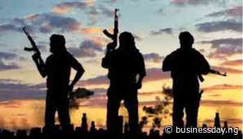 Rising insecurity threatens FMCG firms’ backward integration – Experts - Businessday