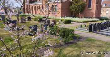 Begraafplaats Rauw wordt groene stilteplaats | Mol | hln.be - Het Laatste Nieuws