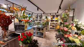 ▷ Blumenfreude schenken - Eppingen.org