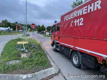▷ Jahresstatistik der Feuerwehren 2021 - Eppingen.org