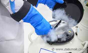 Egg-freezing IVF clinics trying to cash in on MEN by offering similar treatment for sperm