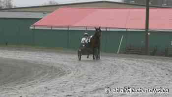 Saving a Cape Breton exhibition grounds - CTV News Atlantic