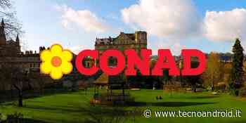 Conad nella bufera: chiude per sempre, licenziamenti di massa a rischio - TecnoAndroid.it