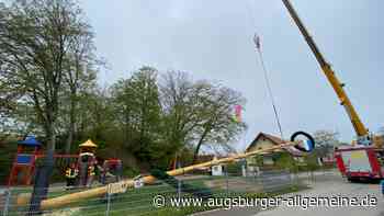 Aichach: Umfrage in Aichach: Schauen Sie zu, wie der Maibaum aufgestellt wird? | Aichacher Nachrichten - Augsburger Allgemeine